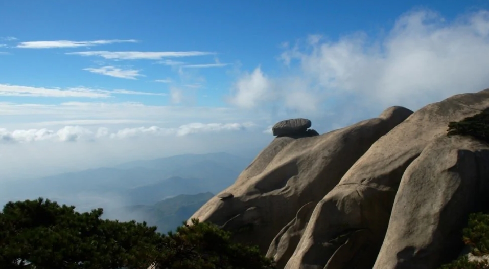 1704701766163276.jpg 微信截图_20240108161551.jpg