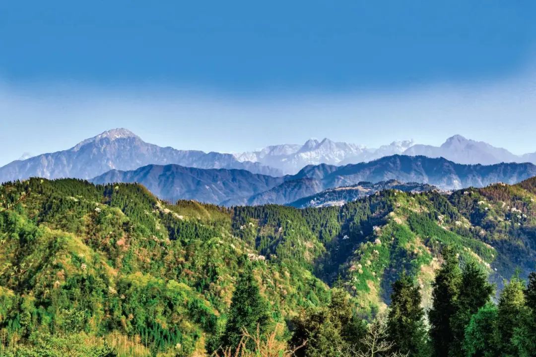 1705387530487243.jpg 34777f86d4c04bb9ef01febe23dcdf7.jpg