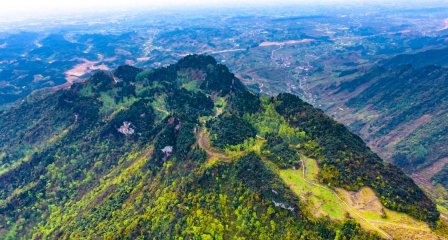 1705387573214306.jpg 微信截图_20240116144553.jpg